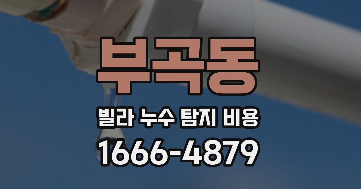 부곡동 빌라 누수 탐지 비용