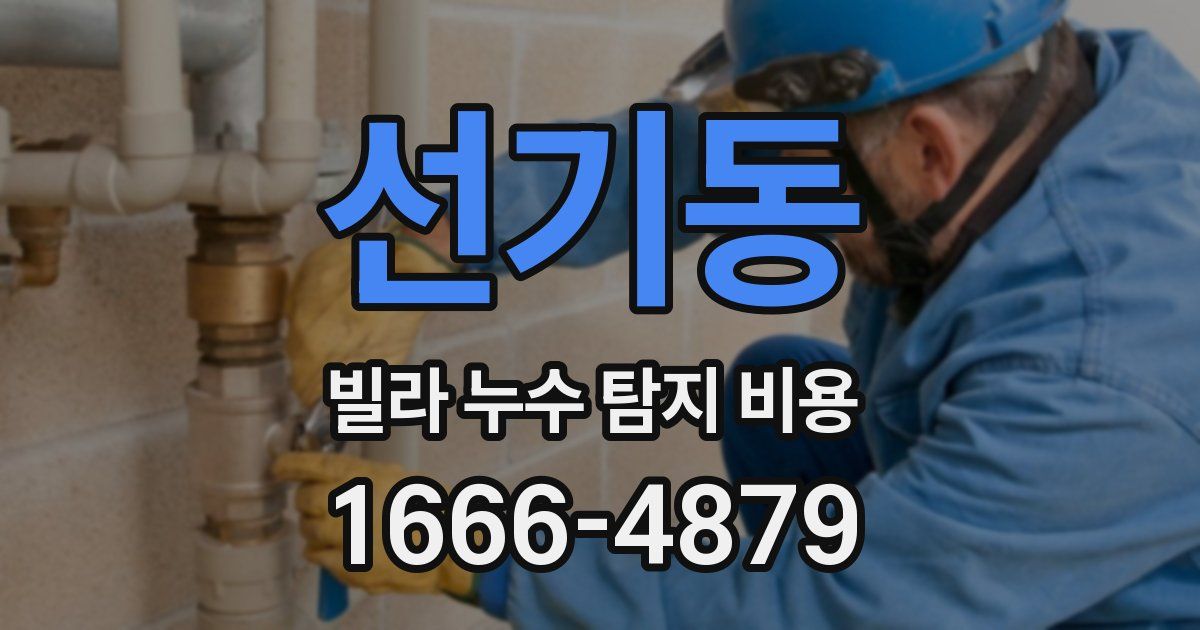 선기동 빌라 누수 탐지 비용