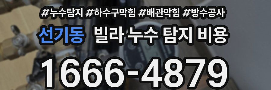 선기동 빌라 누수 탐지 비용