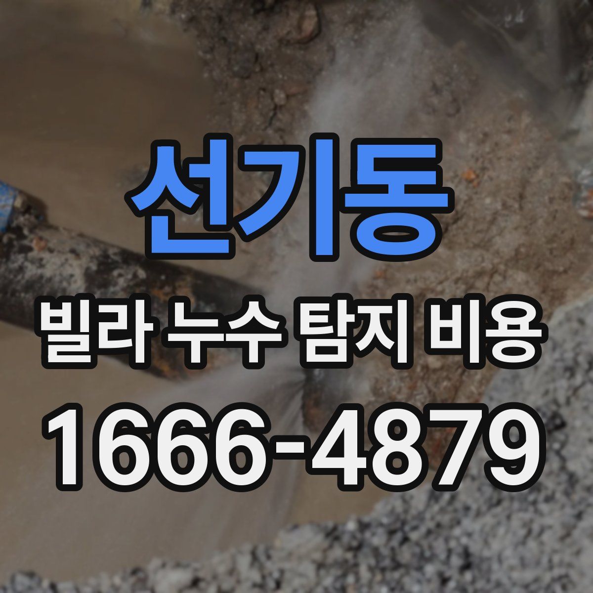 선기동 빌라 누수 탐지 비용