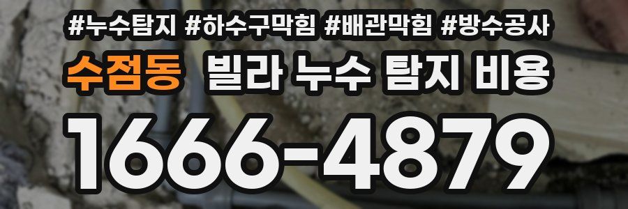 수점동 빌라 누수 탐지 비용