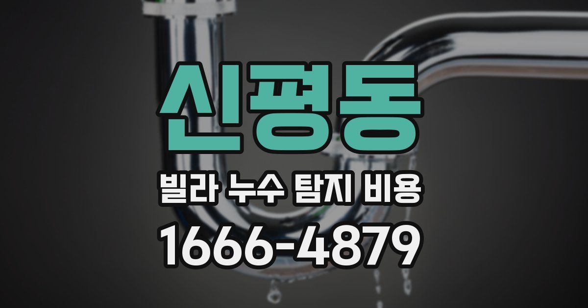 신평동 빌라 누수 탐지 비용