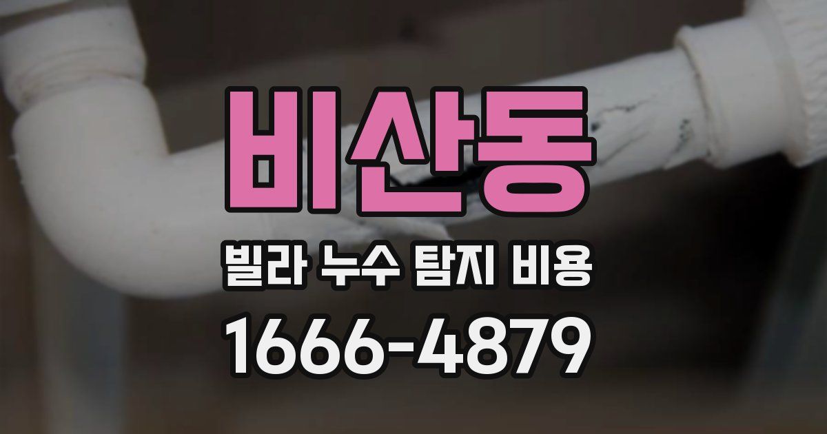 비산동 빌라 누수 탐지 비용