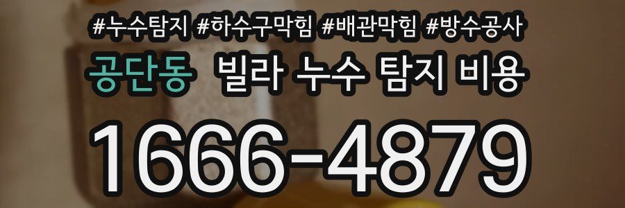 공단동 빌라 누수 탐지 비용
