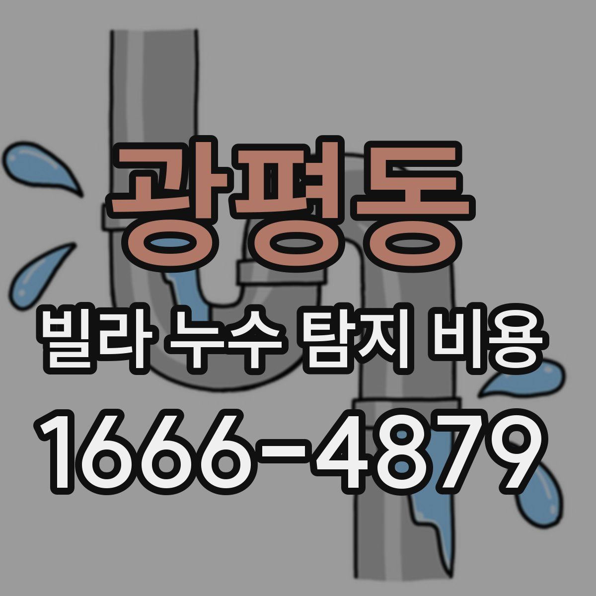 광평동 빌라 누수 탐지 비용
