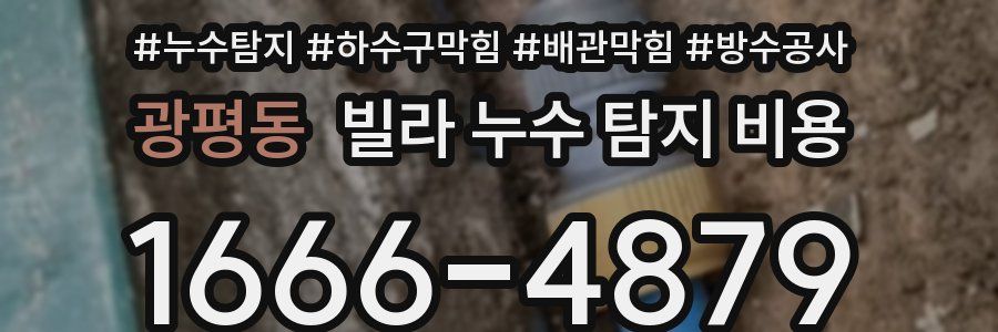 광평동 빌라 누수 탐지 비용