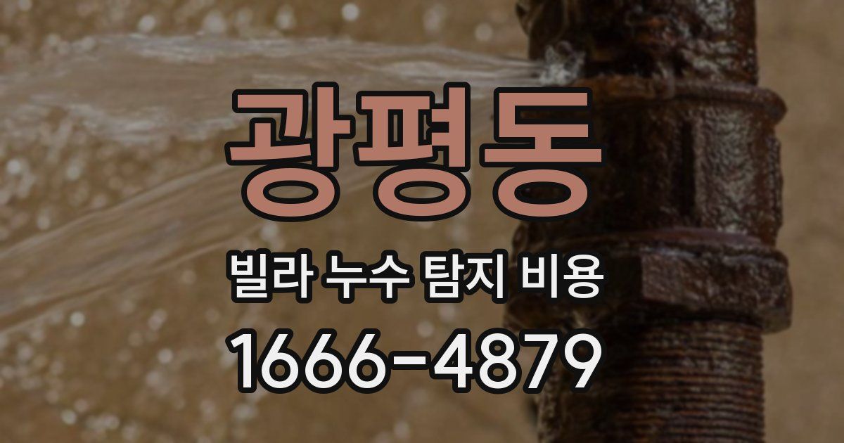 광평동 빌라 누수 탐지 비용