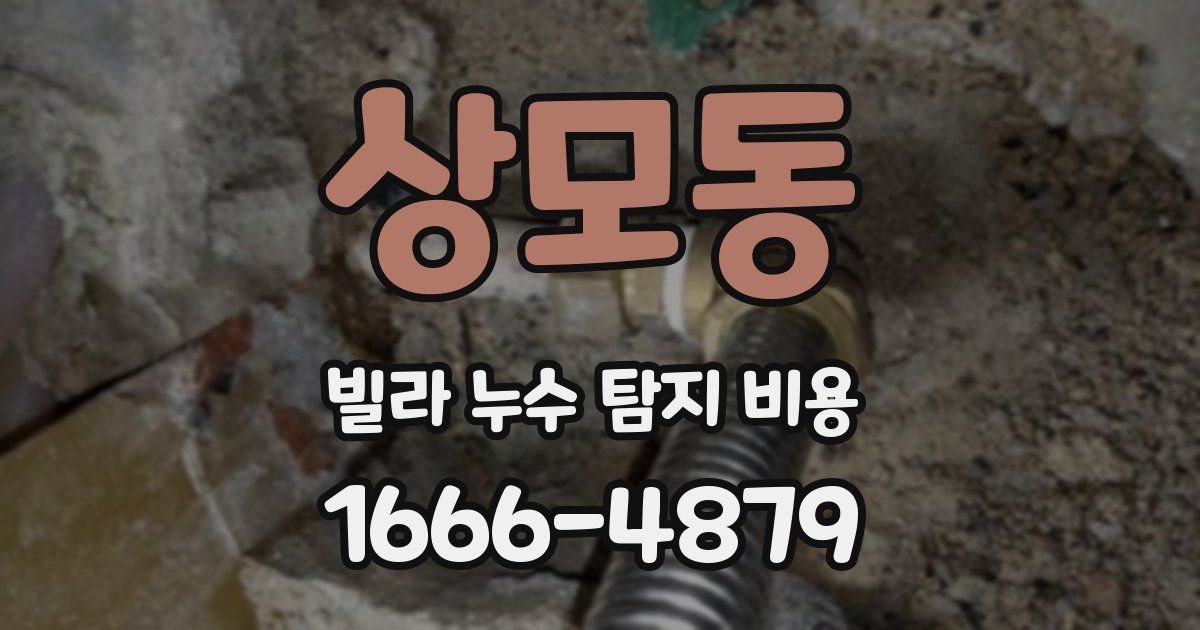 상모동 빌라 누수 탐지 비용