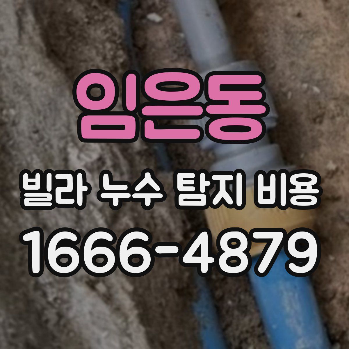 임은동 빌라 누수 탐지 비용