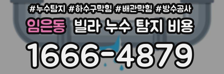 임은동 빌라 누수 탐지 비용