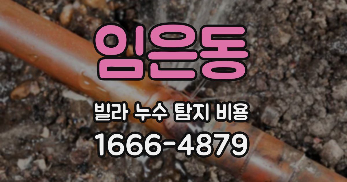 임은동 빌라 누수 탐지 비용