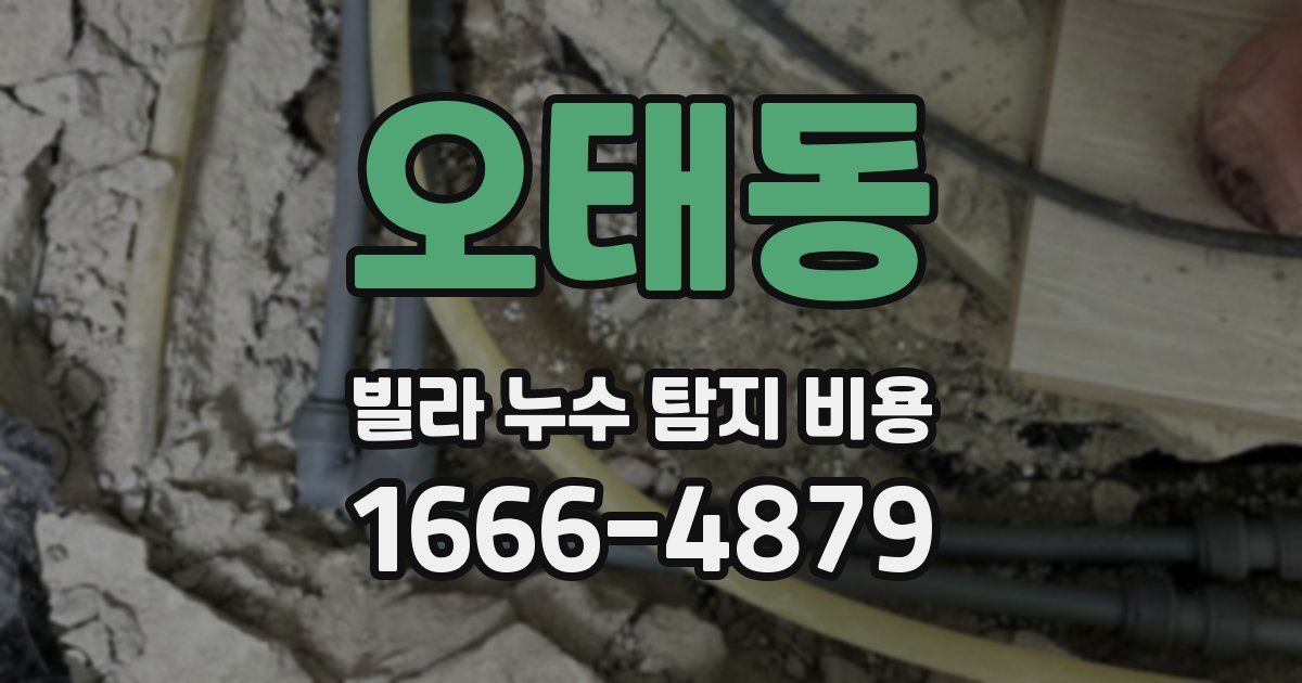 오태동 빌라 누수 탐지 비용