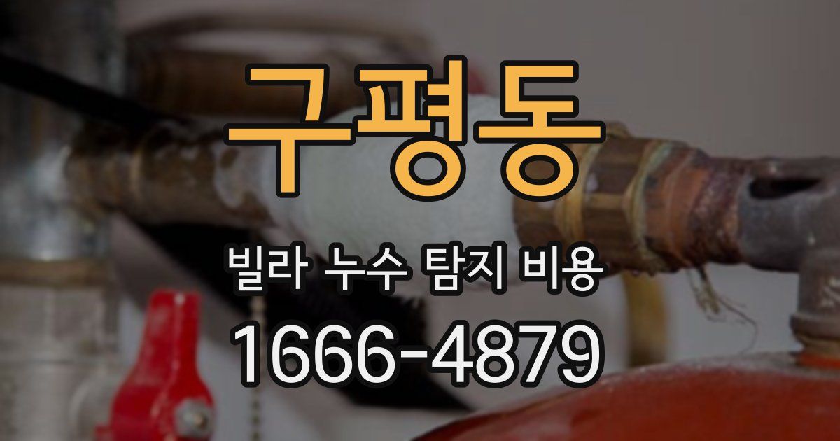 구평동 빌라 누수 탐지 비용