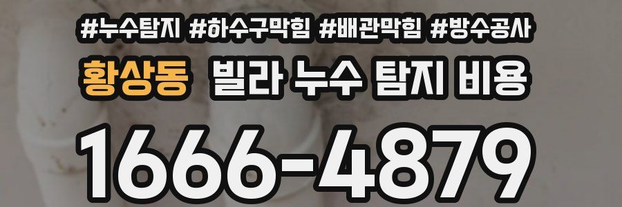 황상동 빌라 누수 탐지 비용