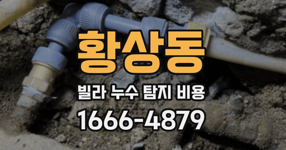 황상동 빌라 누수 탐지 비용