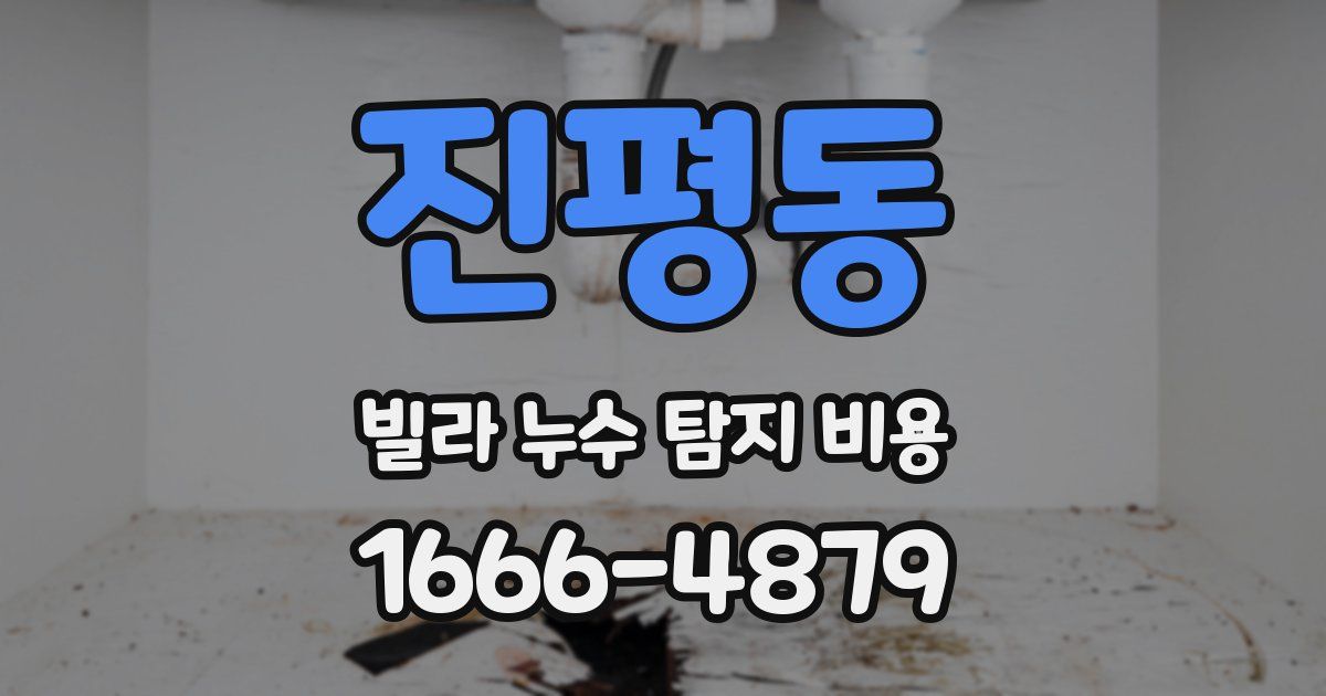 진평동 빌라 누수 탐지 비용