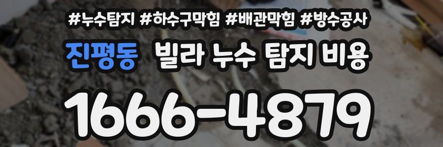 진평동 빌라 누수 탐지 비용