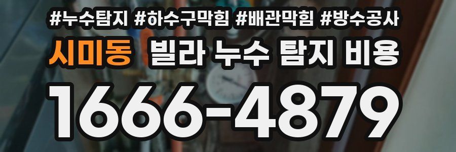 시미동 빌라 누수 탐지 비용