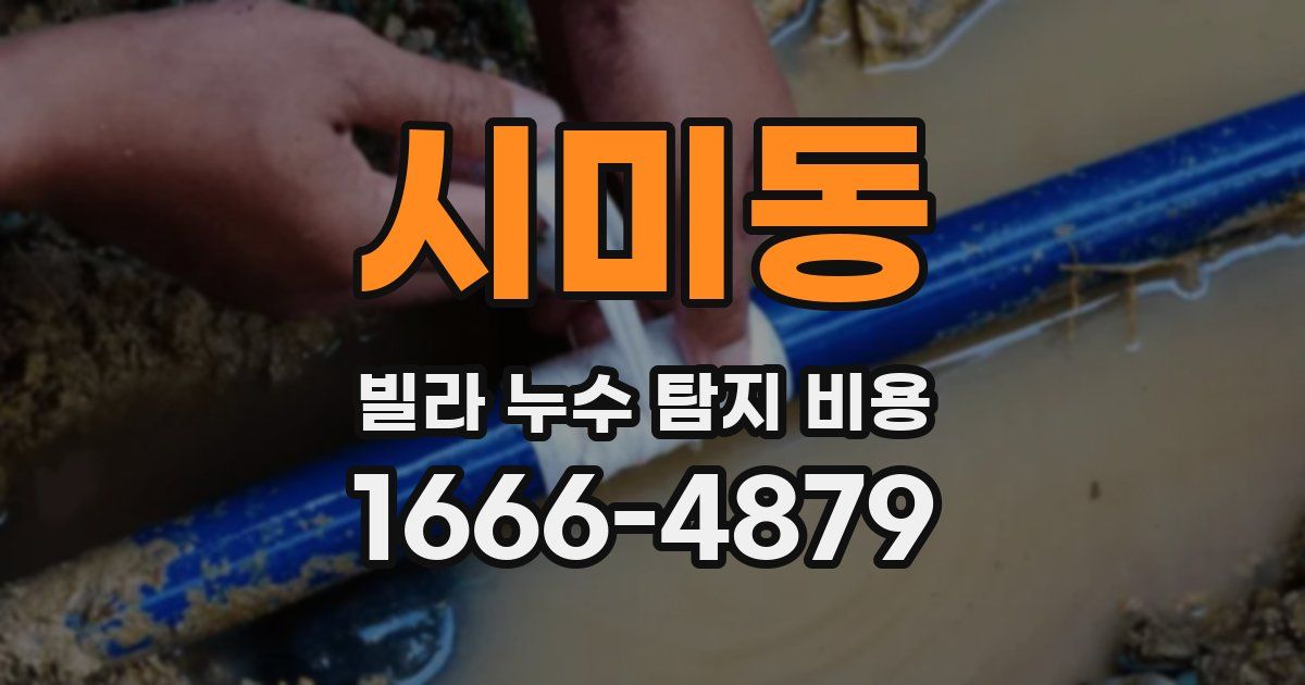 시미동 빌라 누수 탐지 비용