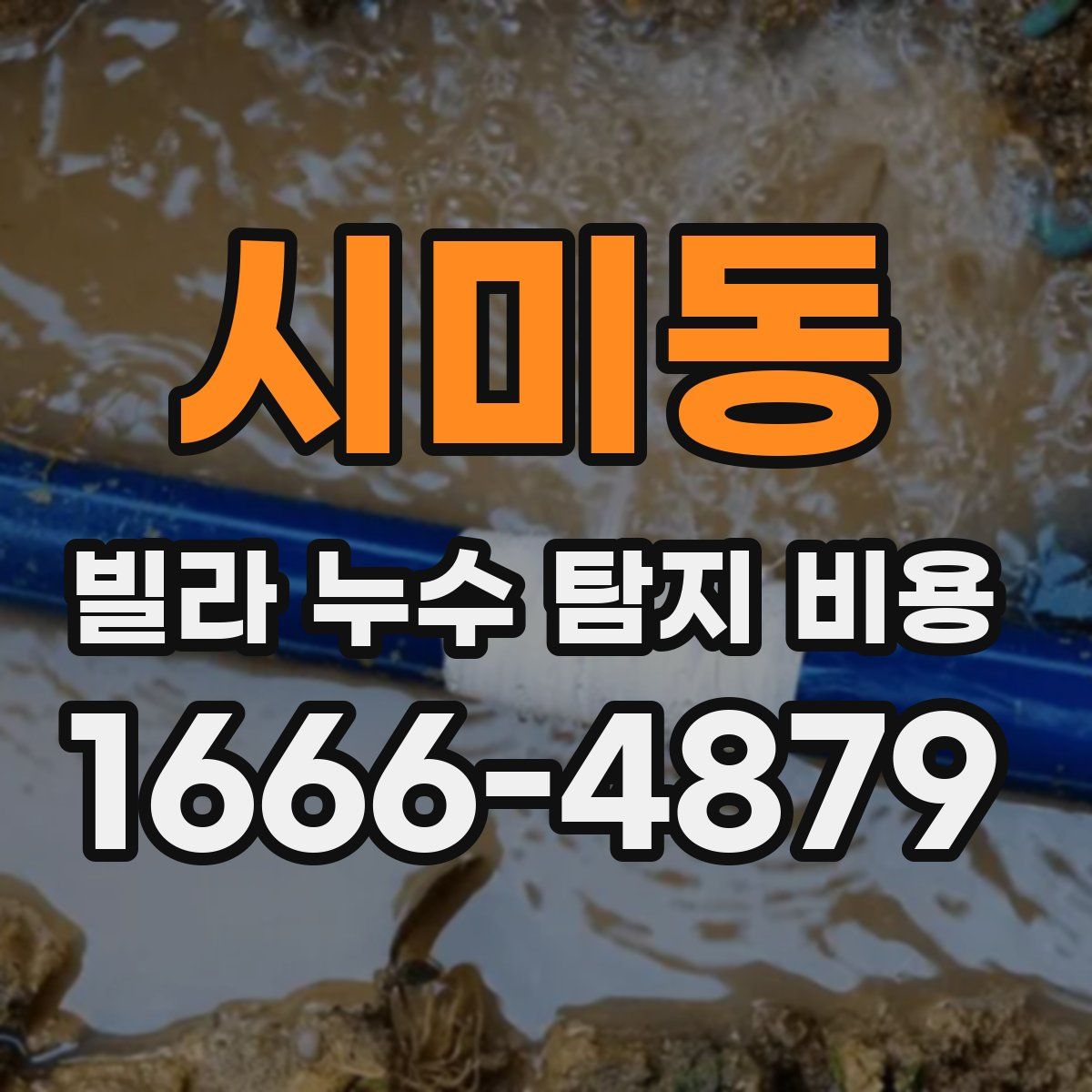 시미동 빌라 누수 탐지 비용