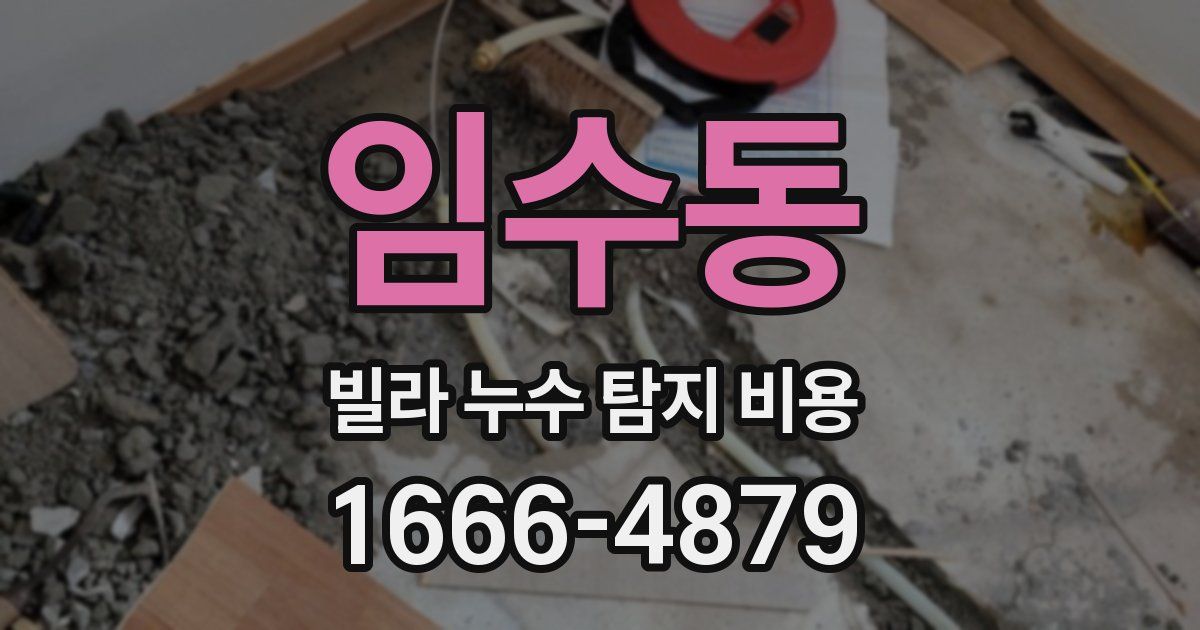 임수동 빌라 누수 탐지 비용