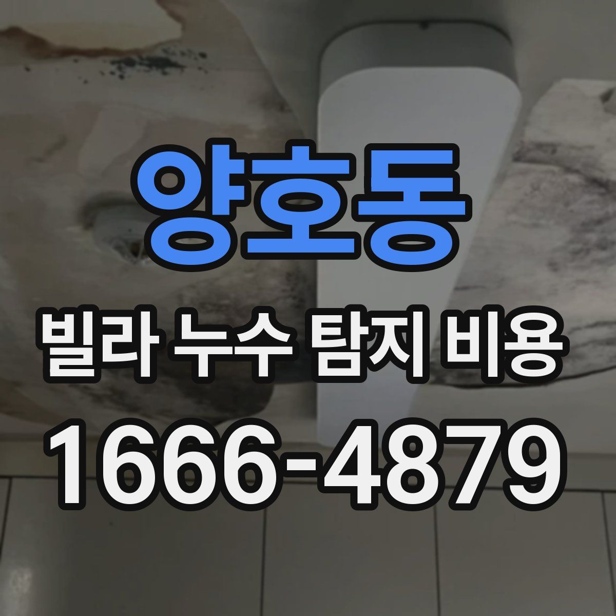 양호동 빌라 누수 탐지 비용