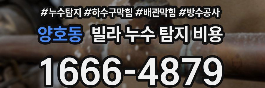 양호동 빌라 누수 탐지 비용