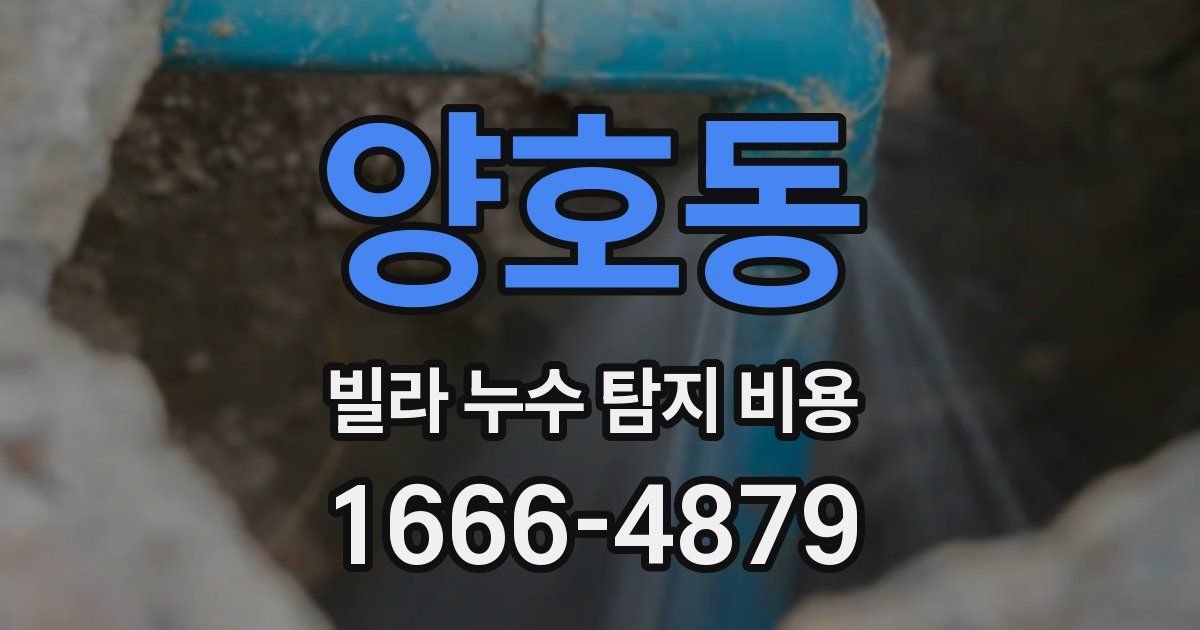 양호동 빌라 누수 탐지 비용