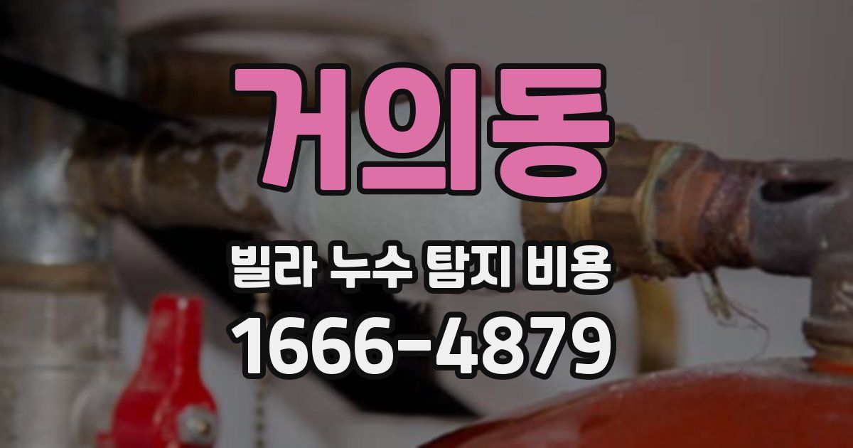 거의동 빌라 누수 탐지 비용