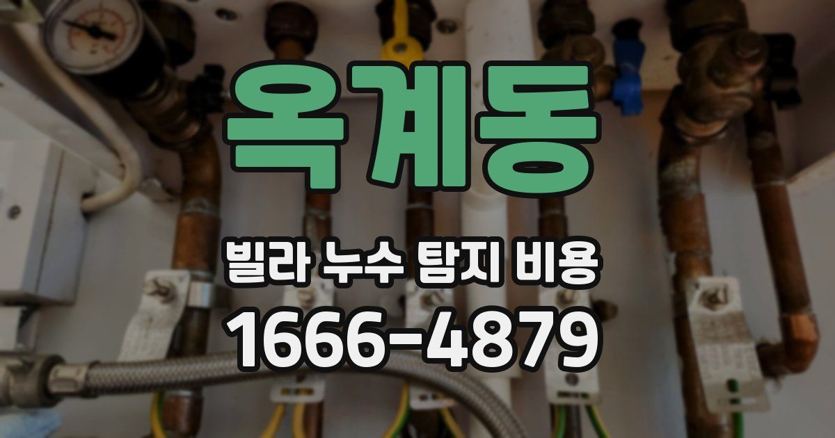 옥계동 빌라 누수 탐지 비용