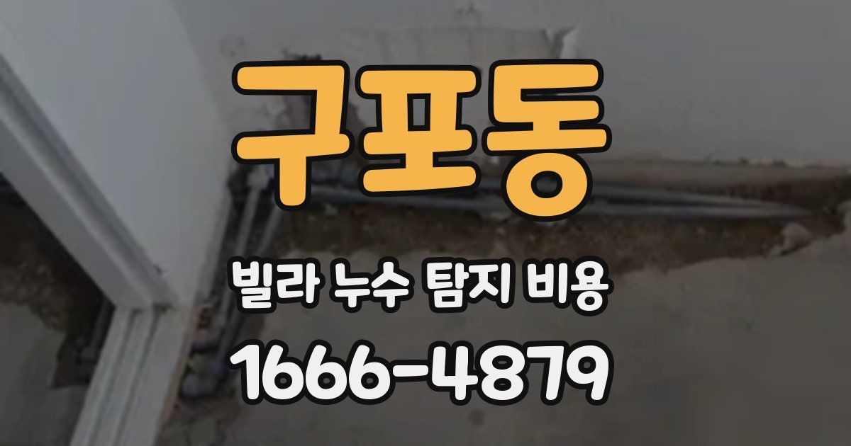 구포동 빌라 누수 탐지 비용