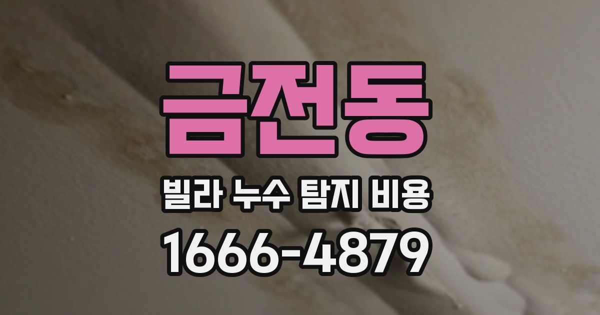 금전동 빌라 누수 탐지 비용
