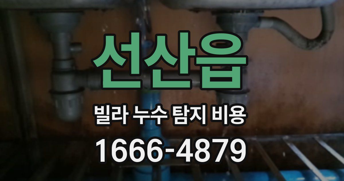 선산읍 빌라 누수 탐지 비용