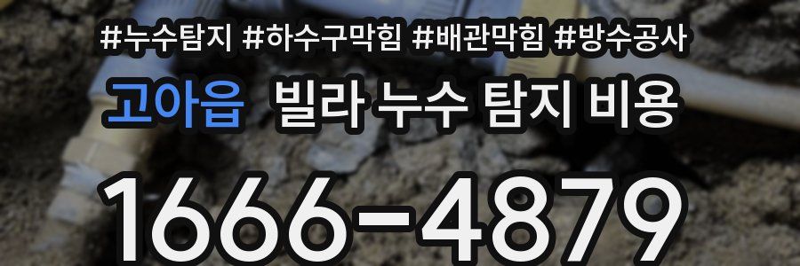 고아읍 빌라 누수 탐지 비용