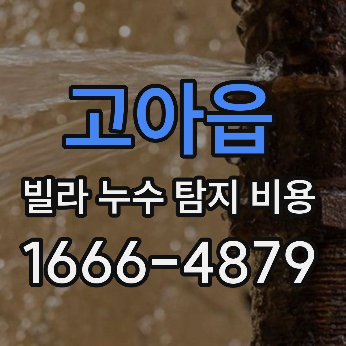고아읍 빌라 누수 탐지 비용