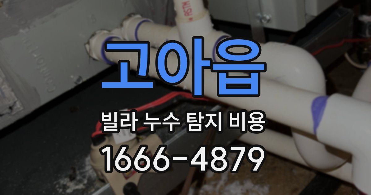 고아읍 빌라 누수 탐지 비용