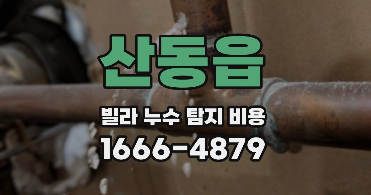 산동읍 빌라 누수 탐지 비용