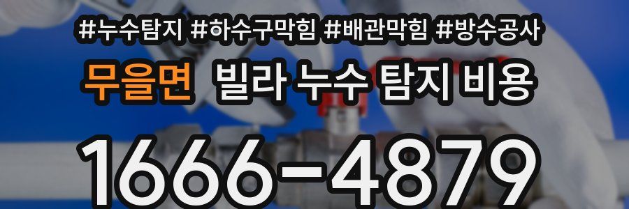 무을면 빌라 누수 탐지 비용