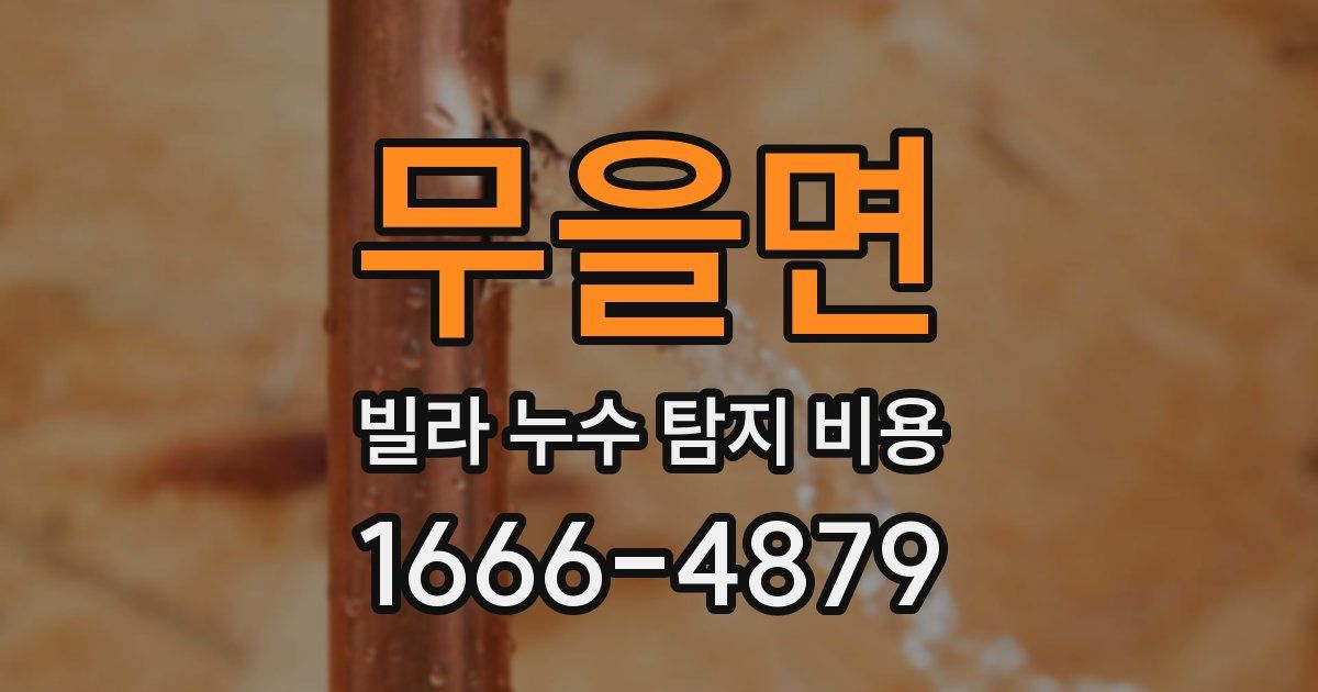 무을면 빌라 누수 탐지 비용