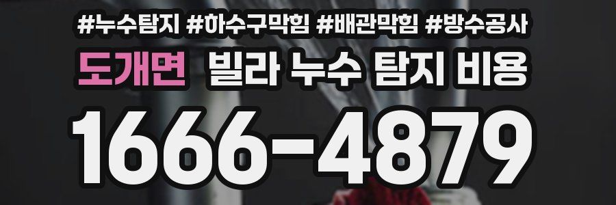 도개면 빌라 누수 탐지 비용