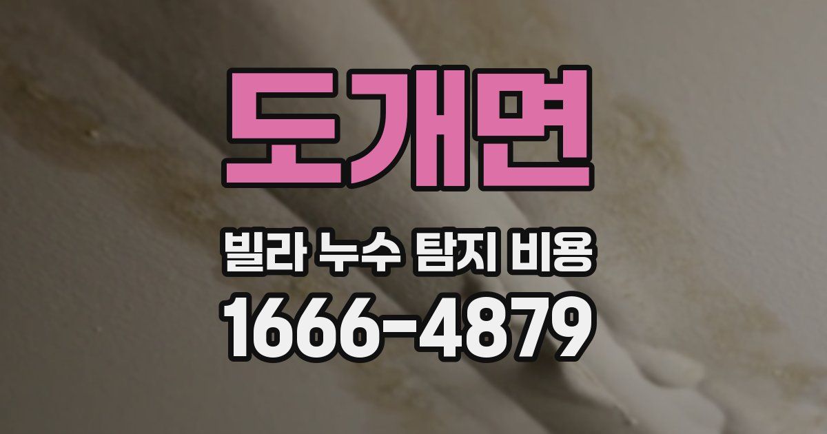 도개면 빌라 누수 탐지 비용