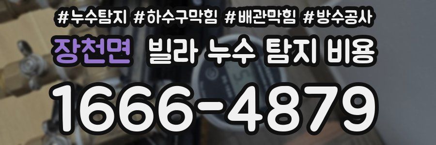 장천면 빌라 누수 탐지 비용