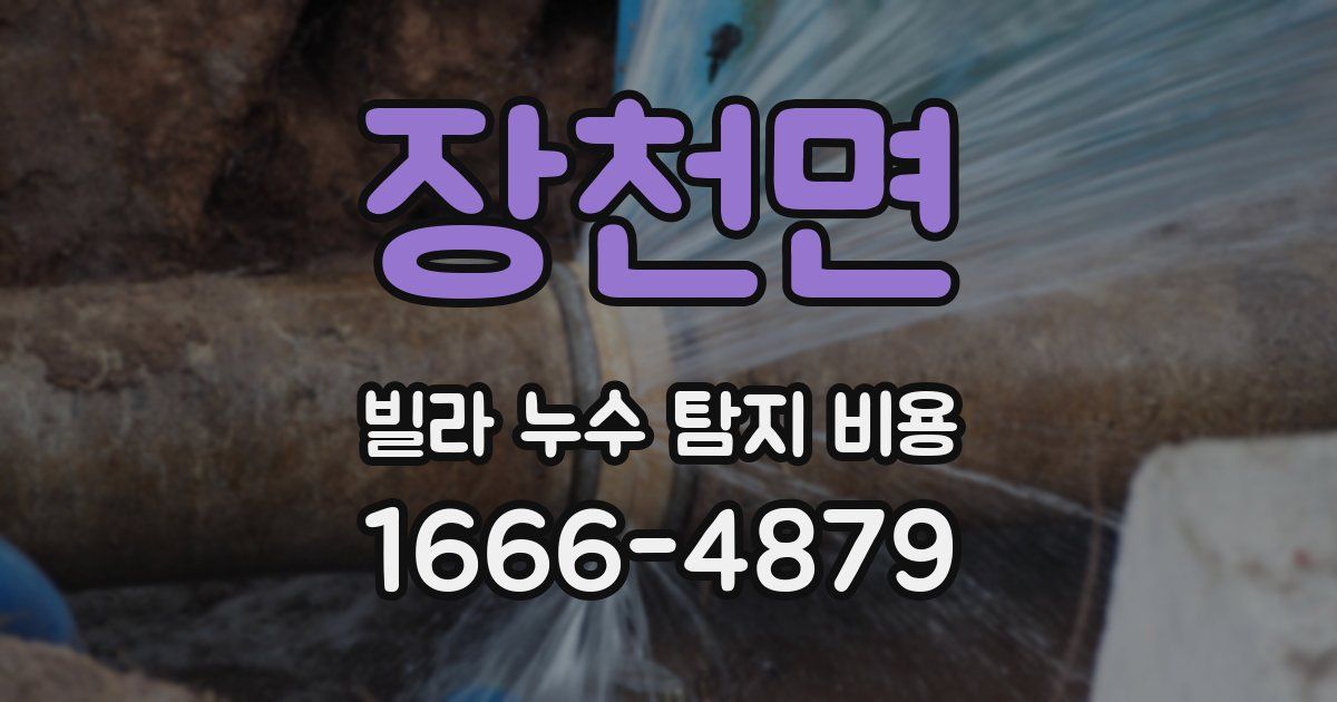 장천면 빌라 누수 탐지 비용
