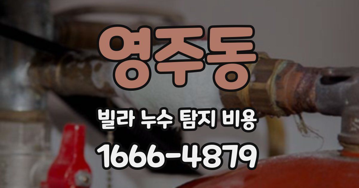 영주동 빌라 누수 탐지 비용