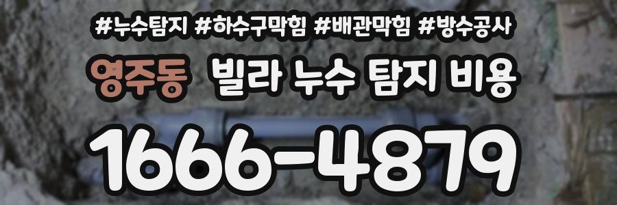 영주동 빌라 누수 탐지 비용