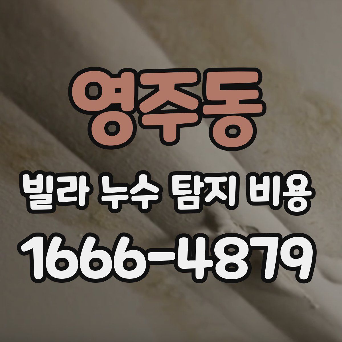 영주동 빌라 누수 탐지 비용
