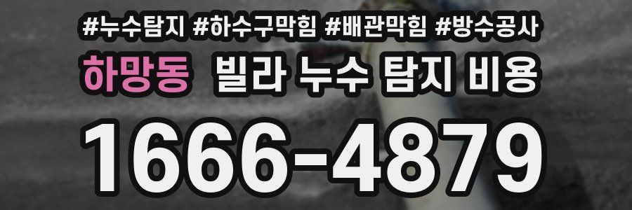 하망동 빌라 누수 탐지 비용
