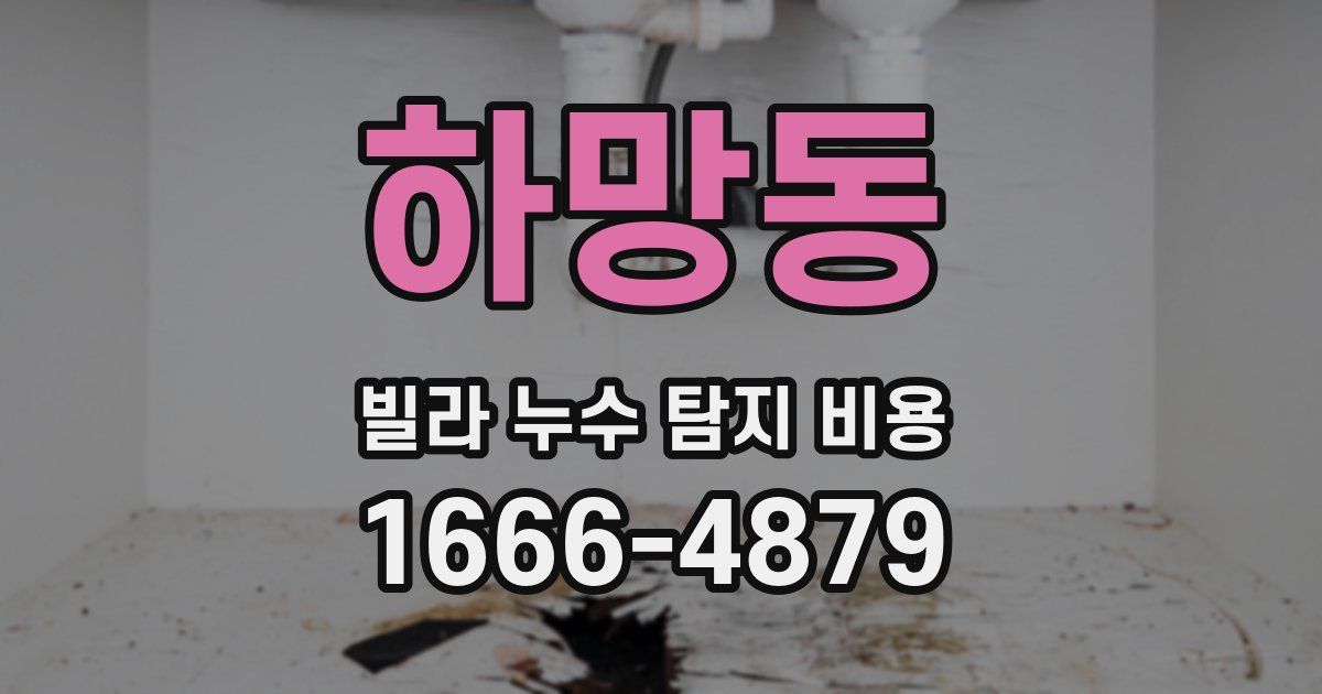 하망동 빌라 누수 탐지 비용