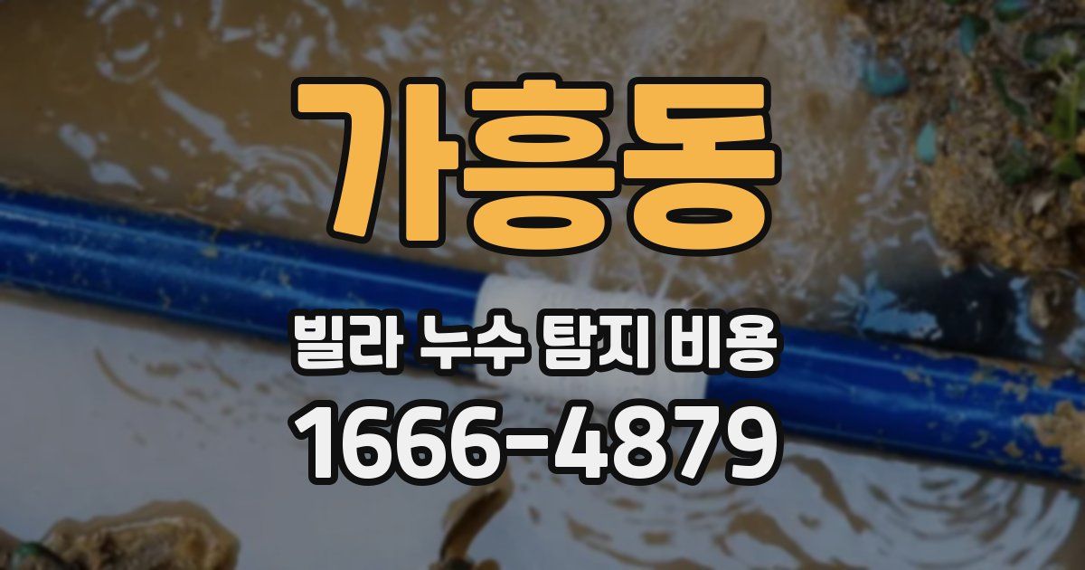 가흥동 빌라 누수 탐지 비용