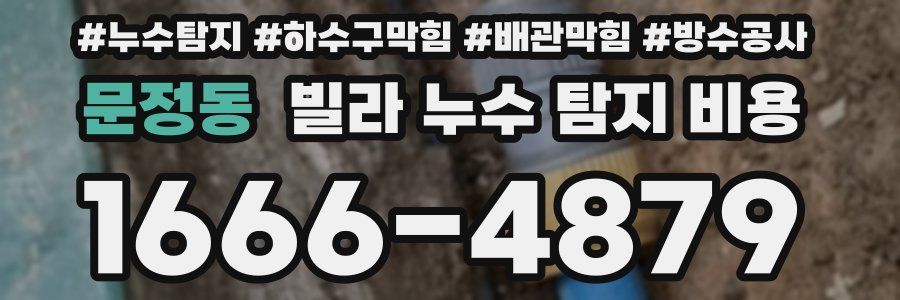 문정동 빌라 누수 탐지 비용